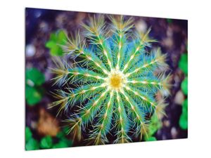 Steklena slika kaktusa