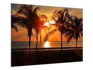 Steklena slika palme v sončnem zahodu