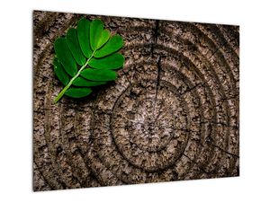 Sklenený obraz listu na kmeni stromu