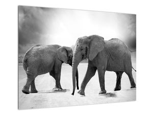 Tablou pe sticlă cu elefanți (V020900V7050GD)