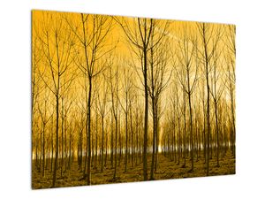 Staklena slika šume pri zalasku sunca
