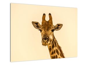 Staklena slika žirafe