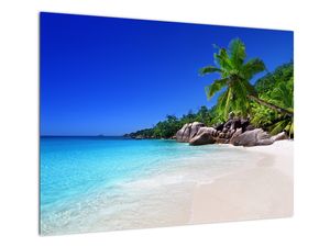Steklena slika plaže na otoku Praslin