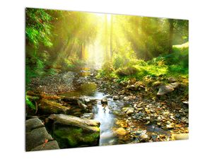 Sklenený obraz rieky v zelenom lese (V020942V7050GD)