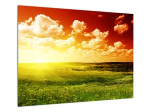 Steklena slika travnika s sijočim soncem (V021174V7050GD)