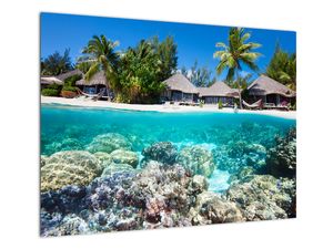 Steklena slika plaže na tropskem otoku