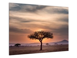 Tablou pe sticlă apusului de soare în Tanzania