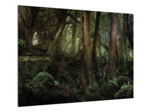 Skleněný obraz - Tajemný les