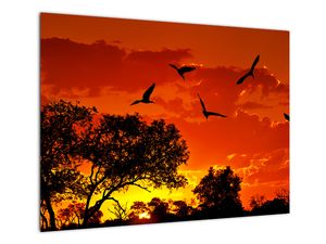Skleněný obraz ptáků při západu slunce
