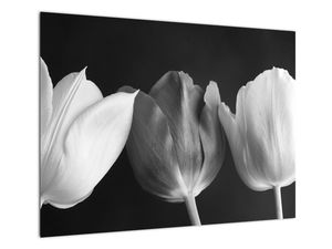 Steklena slika - Črnobeli cvetovi tulipanov
