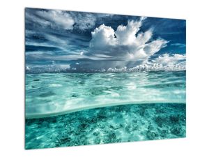 Steklena slika - Pogled pod morsko gladino