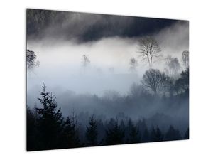 Staklena slika magle nad šumom