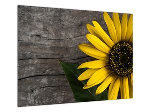 Staklena slika - Cvijet suncokreta