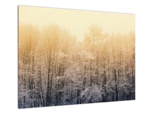 Skleněný obraz mrazivého lesa