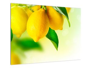 Staklena slika limuna