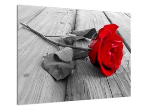 Sklenený obraz červených ruží (V022288V7050GD)