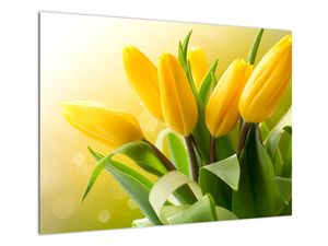 Staklena slika - Žuti tulipani