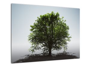 Skleněný obraz - Osamocený strom