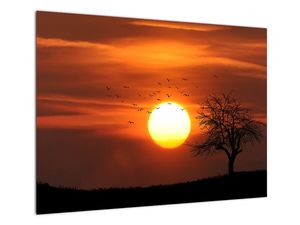 Skleněný obraz - Západ slunce