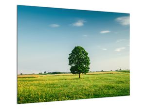 Glasschilderij - Boom op het weiland