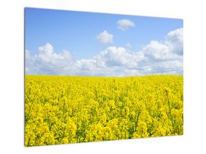 Staklena slika žutog polja