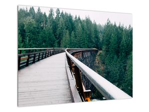 Skleněný obraz - Most k vrcholkům stromů