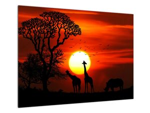 Staklena slika - Siluete životinja pri zalasku sunca