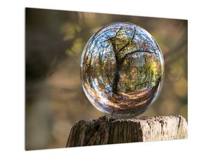Tablou pe sticlă - Reflecție intr-o sferă transparentă