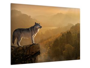 Sklenený obraz vlka na skale