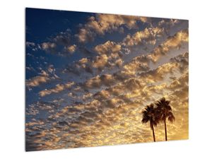 Skleněný obraz - Palmy mezi mraky
