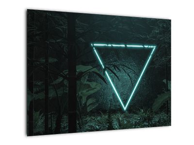 Skleněný obraz - Neonový trojúhelník v jungli