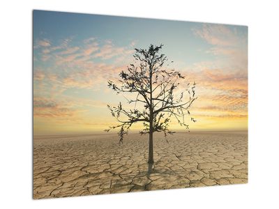 Staklena slika - Drevo v puščavi