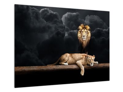 Sklenený obraz - Lev a levice v oblakoch