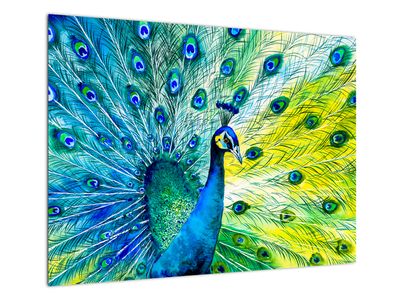 Glasbild - Pfau