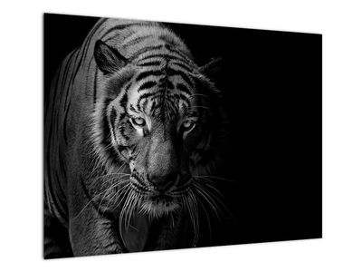 Staklena slika divjega tigra