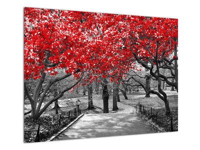 Tablou pe sticlă - Copaci roșii, Central Park, New York