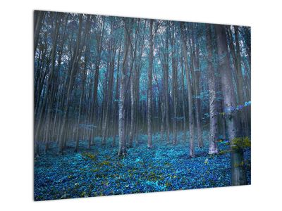 Skleněný obraz - Magický les
