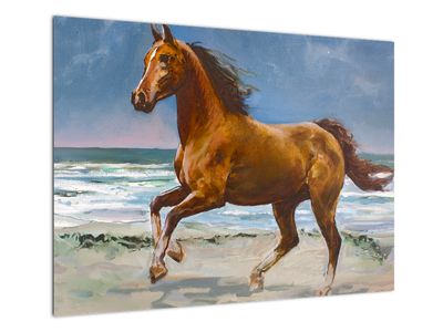 Skleněný obraz koně na pláži