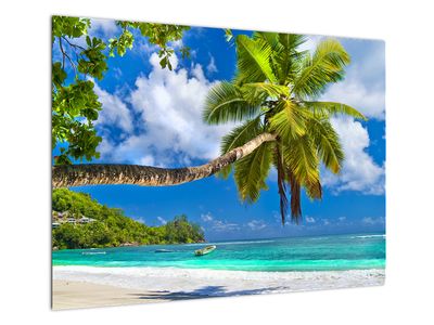 Sklenený obraz - Seychely