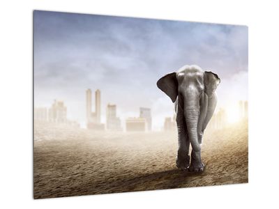 Staklena slika - Sloni v velikem mestu