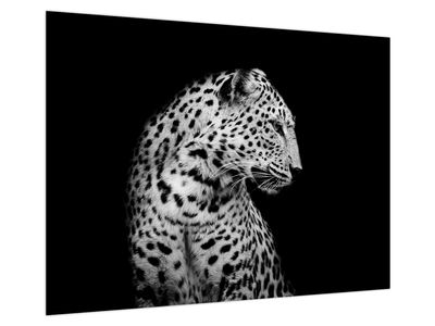 Glasbild - Leopard