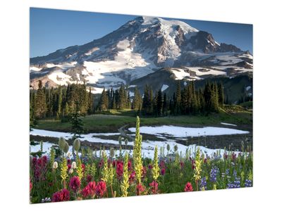 Glasbild - Mount Rainier