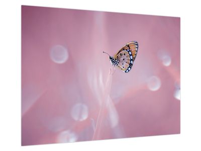 Glasbild - Schmetterling