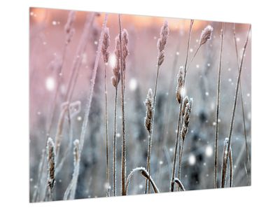 Glasbild - Winterlandschaft