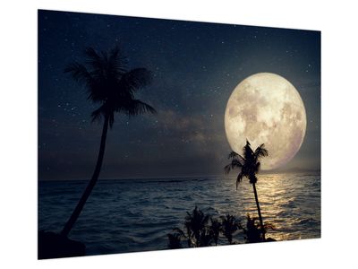 Glasbild - Strand bei Vollmond