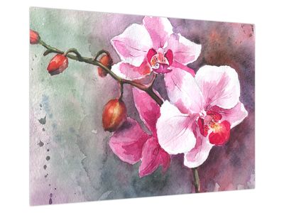 Glasbild - Orchideen, Aquarell