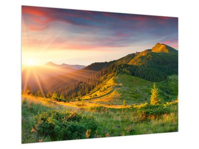 Glasbild - Sommerlandschaft