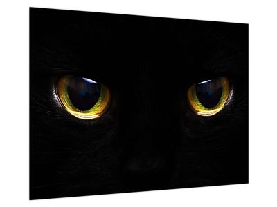 Glasbild - Die Augen der Katze