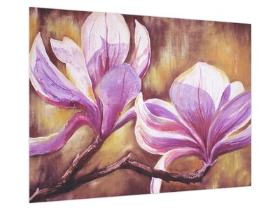 Glasbild - Magnolienblüten