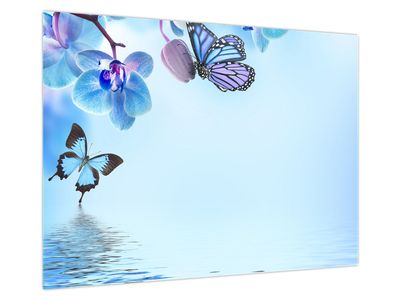 Glasbild - Schmetterling auf Orchideenblüten, blau